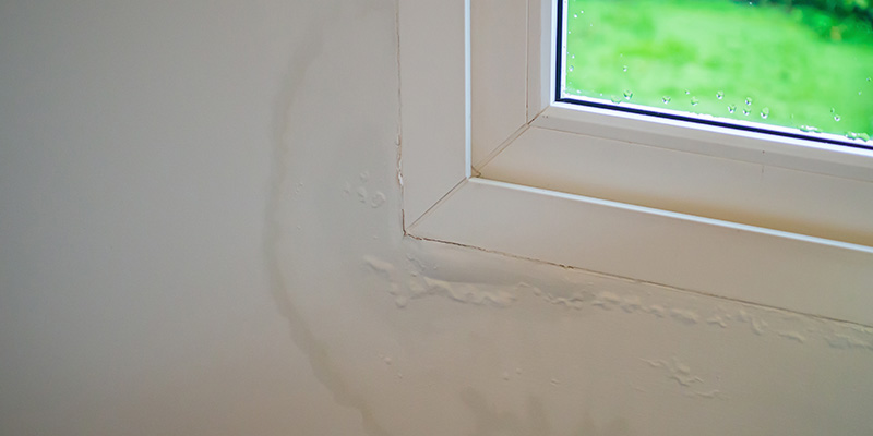 Damp vs Condensation