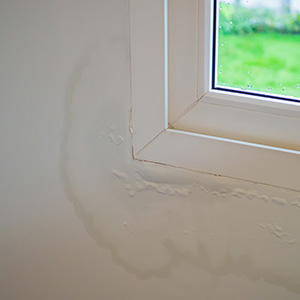 Damp vs Condensation