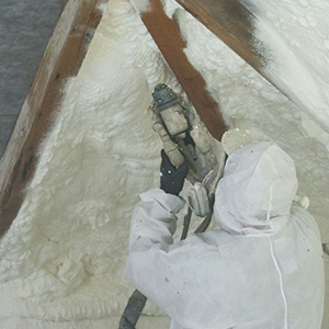 Professional Spray Foam