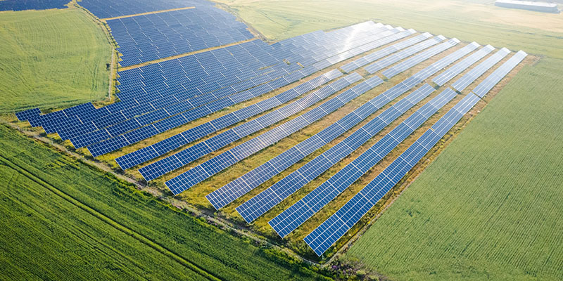 Solar Panel Farm