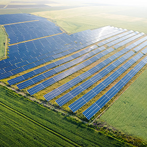 Solar Panel Farm