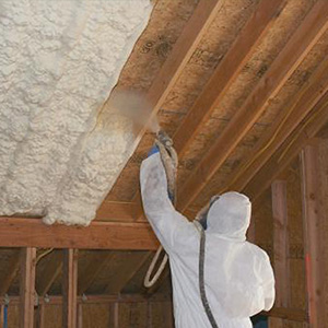 Spray Foam Professional